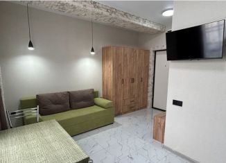 Сдам в аренду квартиру студию, 20 м2, Сочи, Фермерская улица, 24, микрорайон Энергетик-Изумруд