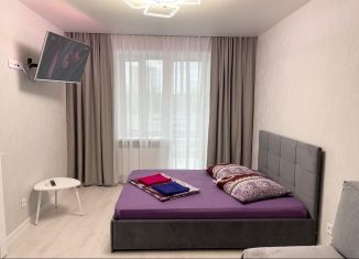 Сдача в аренду однокомнатной квартиры, 41 м2, Сыктывкар, улица Пушкина, 65, ЖК Графика