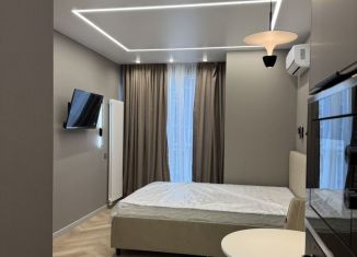 Квартира в аренду студия, 27 м2, Сочи, Ясногорская улица, 16/6к2, микрорайон Бытха