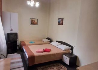 Сдаю в аренду квартиру студию, 16 м2, Санкт-Петербург, Мытнинская улица, 5/2