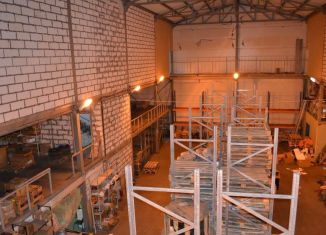 Сдам производство, 485 м2, Ленинградская область, Новосергиевский проезд, 1