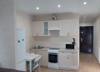 Аренда квартиры студии, 30 м2, Санкт-Петербург, Варшавская улица, 6к1