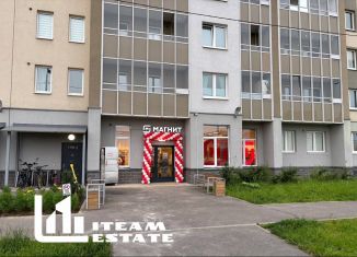 Продается помещение свободного назначения, 127 м2, Санкт-Петербург, Чарушинская улица, 24к1, муниципальный округ Полюстрово