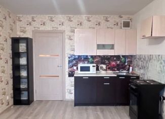 Сдам квартиру студию, 26.4 м2, городской посёлок Янино-1, Голландская улица, 6