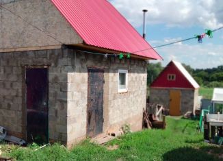 Продается дом, 40 м2, Республика Башкортостан, Центральная улица