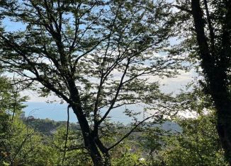 Продам участок, 8 сот., Сочи, ЖСТ Подснежник, 129А