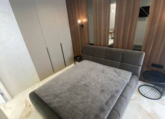 1-комнатная квартира в аренду, 54.6 м2, Сочи, Пионерская улица, 14, микрорайон Центральный