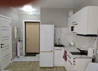 Аренда 1-комнатной квартиры, 29 м2, Верхняя Пышма, улица Сапожникова, 3Б