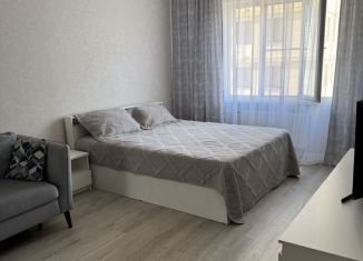 Сдам в аренду однокомнатную квартиру, 45 м2, Краснодар, Восточно-Кругликовская улица, 46Б, микрорайон Восточно-Кругликовский