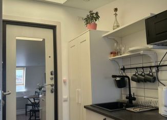 Сдам в аренду квартиру студию, 16 м2, Санкт-Петербург, улица Восстания, 40