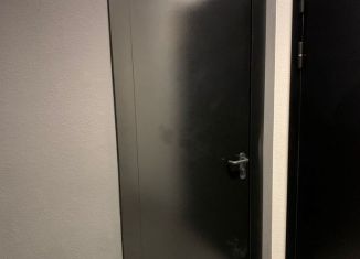 Продается гараж, Татарстан, улица Анаса Тазетдинова