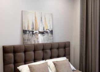 Сдаю однокомнатную квартиру, 50 м2, Краснодар, улица имени П.М. Гаврилова, 88, микрорайон Центральный