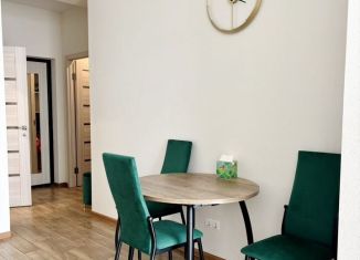 Аренда однокомнатной квартиры, 47.5 м2, Сочи, Альпийская улица, 27