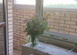 2-ком. квартира на продажу, 50 м2, деревня Юкки, Тенистая улица, 11к2