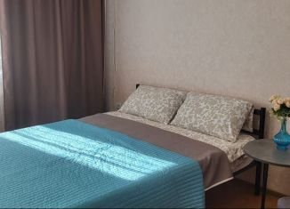 Сдаю в аренду однокомнатную квартиру, 43 м2, Татарстан, улица Четаева, 28