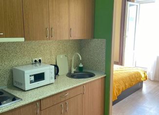 Сдаю в аренду квартиру студию, 24 м2, Ростов-на-Дону, улица Ерёменко, 94, ЖК Английский Квартал