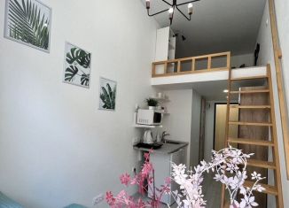 Сдаю в аренду квартиру студию, 14 м2, Санкт-Петербург, Московский проспект, 42/27