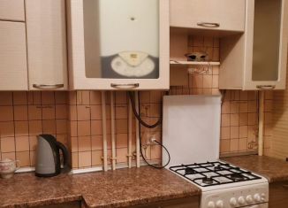 1-ком. квартира в аренду, 37 м2, Воронеж, улица Моисеева, 51А