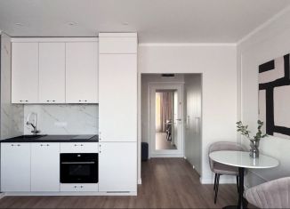 Продается квартира студия, 23.5 м2, Котельники, микрорайон Парковый, 14