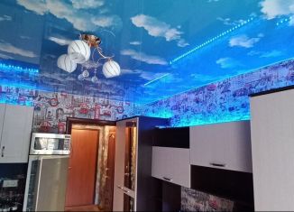 Сдается в аренду квартира студия, 26 м2, Москва, Камчатская улица, 5, ВАО