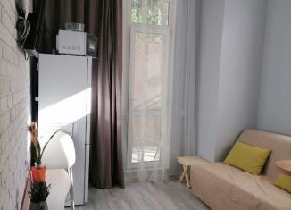 Сдам в аренду однокомнатную квартиру, 29 м2, Сочи, Фермерский переулок, 2/1, микрорайон Энергетик-Изумруд