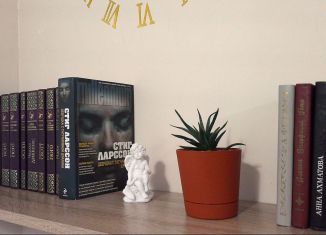 Сдам в аренду 3-комнатную квартиру, 81 м2, Санкт-Петербург, проспект Просвещения