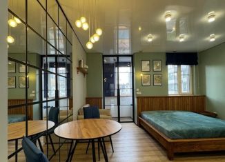 Квартира на продажу студия, 30 м2, Ростов-на-Дону, проспект Ленина, 46/2