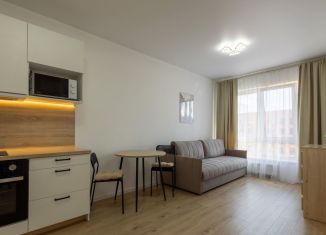 Аренда 1-комнатной квартиры, 32 м2, деревня Новое Девяткино, Главная улица, 8