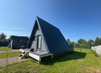 Продам дом, 56 м2, деревня Андреевское, Центральная улица