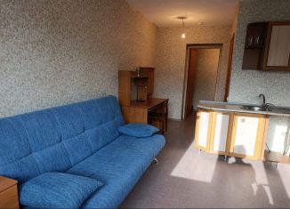 Продажа квартиры студии, 25.5 м2, Тольятти, улица Александра Кудашева, 96