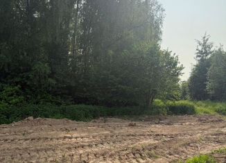 Продажа земельного участка, 56 сот., деревня Андреевское, Рябиновая улица, 205А