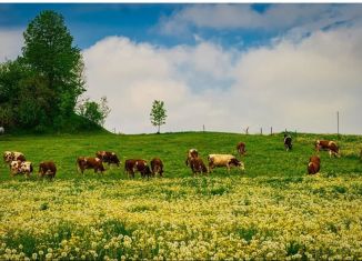 Продаю производство, 200 м2, Вологодская область, Весенняя улица, 5