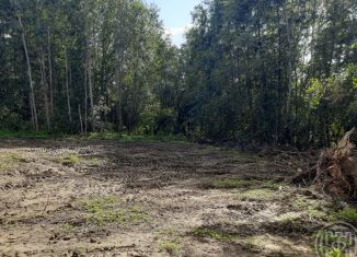 Продается участок, 12 сот., деревня Куйвози