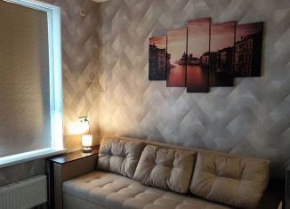 Сдаю в аренду квартиру студию, 19 м2, деревня Столбово, проспект Куприна, 30к9