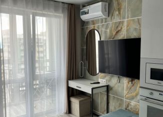 Продается квартира студия, 26 м2, Сочи, улица Искры, 66/9