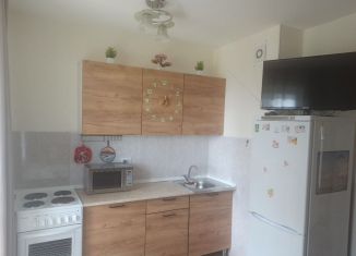 Сдам в аренду квартиру студию, 21 м2, посёлок Парголово, Толубеевский проезд, 36к1