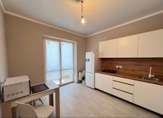 Сдается в аренду однокомнатная квартира, 39 м2, Ростов-на-Дону, улица Ерёменко, 114, ЖК Пятый Элемент