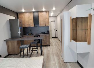 Квартира в аренду студия, 31 м2, Липецк, улица М.И. Неделина, 3Ак1