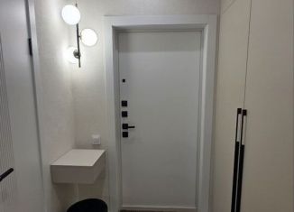 Сдам квартиру студию, 30 м2, Ростов-на-Дону, проспект Соколова, 68/118Вс2, Кировский район