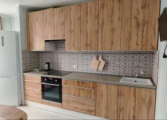 Аренда 1-ком. квартиры, 47 м2, Уфа, улица Загира Исмагилова, 18