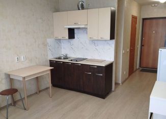 Сдам в аренду квартиру студию, 22 м2, Екатеринбург, ЖК Тихий Берег-2, Рощинская улица, 27