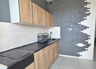 Сдам однокомнатную квартиру, 36.6 м2, Ростов-на-Дону, улица Ерёменко, 114, ЖК Пятый Элемент