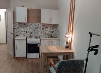 Сдается квартира студия, 28 м2, Нижний Новгород, улица Романтиков, 5