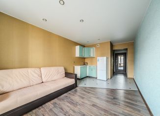 Квартира на продажу студия, 25.9 м2, Мурино, Охтинская аллея, 10к1, ЖК Девятый вал