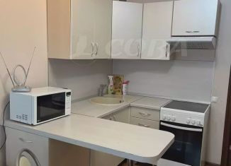 Сдаю в аренду 1-ком. квартиру, 28 м2, Тобольск, 7-й микрорайон, 48