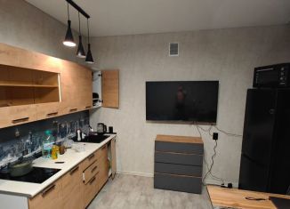 Продается квартира студия, 25.2 м2, Республика Алтай, улица Панфиловцев, 7