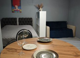 Квартира в аренду студия, 33 м2, Республика Башкортостан, улица Гази Загитова, 11