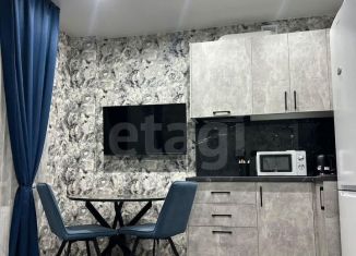 Продам квартиру студию, 28 м2, Ростов-на-Дону, Пролетарский район, улица 26-я Линия, 35/1