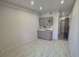 Продажа квартиры студии, 17 м2, Нижний Новгород, Южный бульвар, 14, Автозаводский район