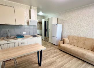 Сдается квартира студия, 26 м2, Ростов-на-Дону, улица Ткачёва, 23, ЖК Левенцовка Парк